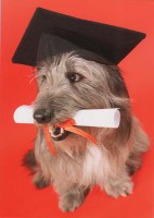 /album/nuevas/perro-diploma-jpg/